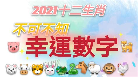 生肖兔幸運色|十二生肖「幸運數字、幸運顏色、大吉方位」！跟著做。